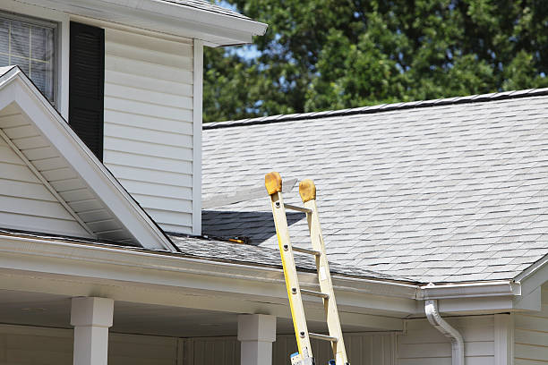 Best Siding Removal and Disposal  in Belleville, WI