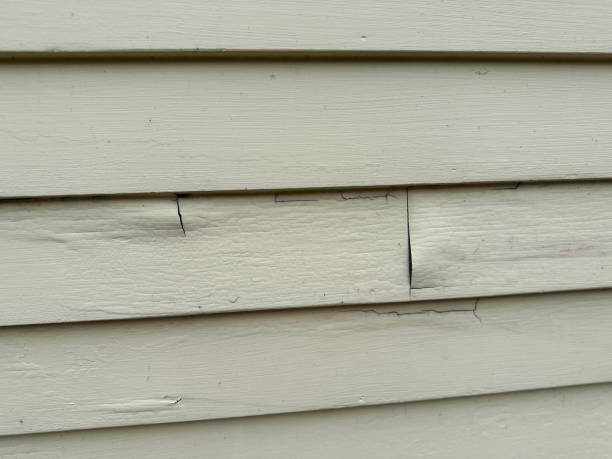 Affordable Siding Repair and Maintenance Services in Belleville, WI